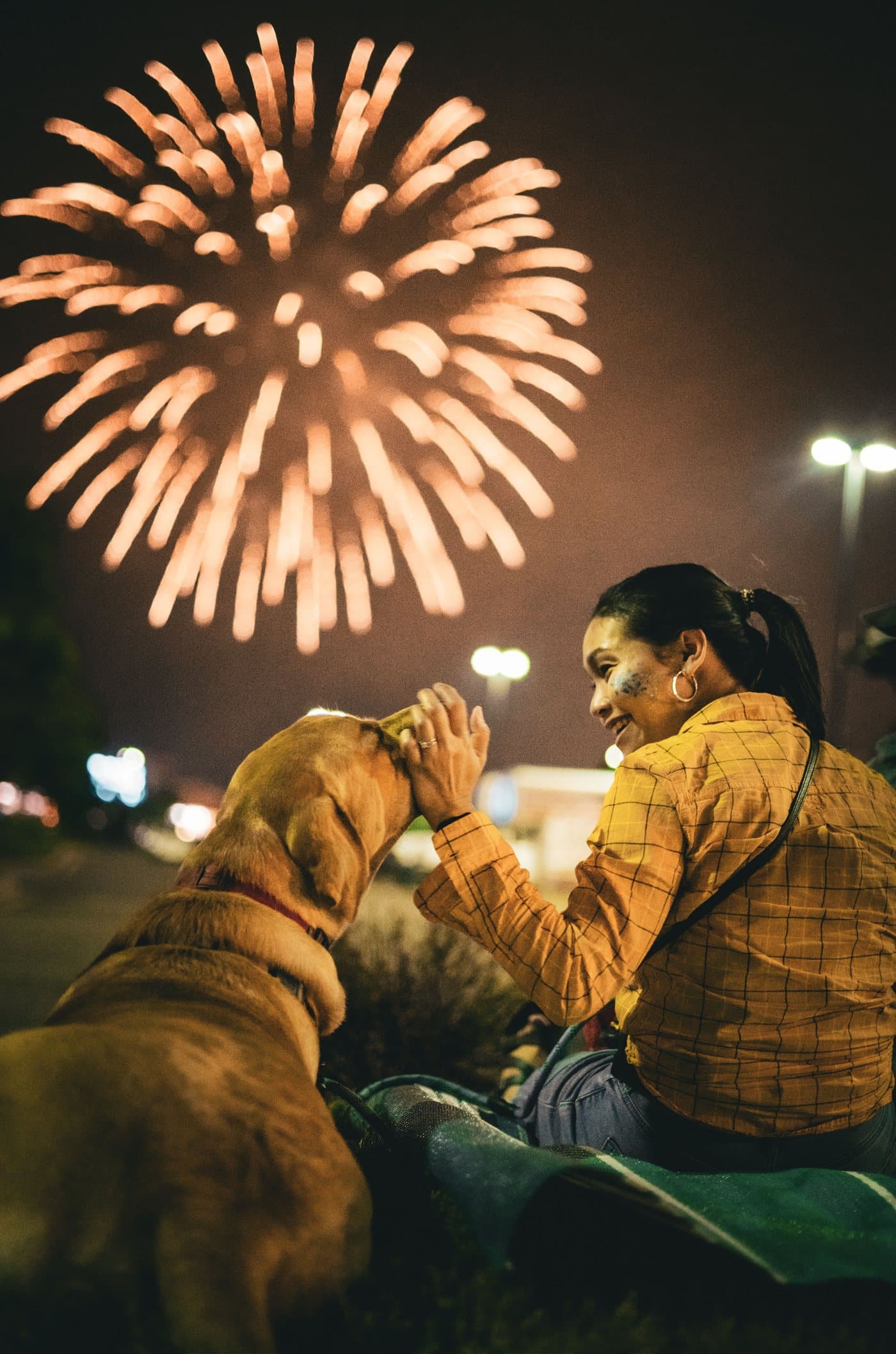 Chien apeuré sous une couverture pendant les feux d'artifice